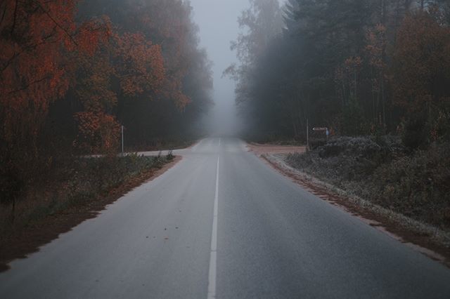 elinaka's tweet photo. Autumn is still here, and it looks beautiful!
.
.
.
.
.
#baltictrend #balticstates #baltics #balticcountries #balticnature #balticnature #baltictrip #baltic #latvia #latvianblogger #latviannature #latviaiswonderful #latvianature #latvia_online #european_… https://t.co/3qzTZY3iZ3 https://t.co/VqKqSSCsIB