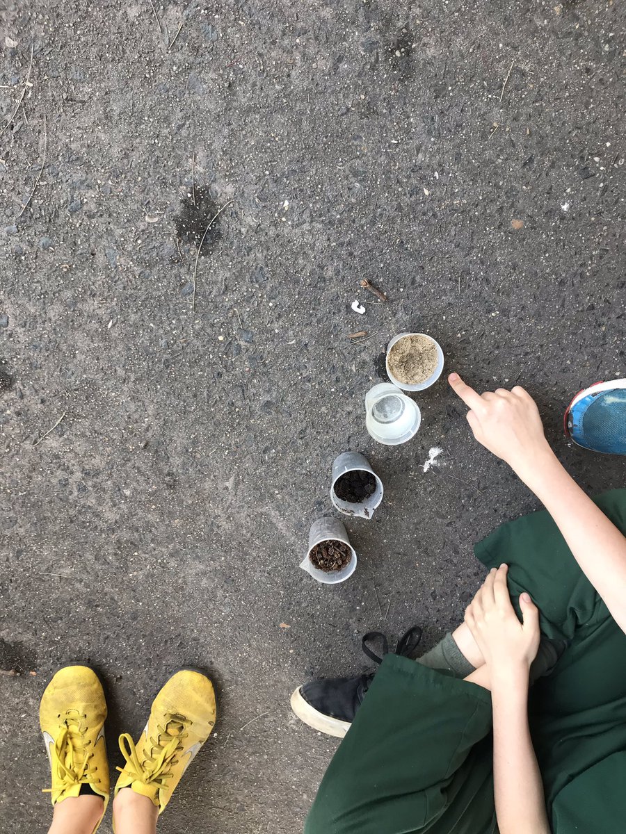 KangarooCPS2018's tweet photo. Measuring, ordering and comparing the mass of materials from our playground today. Looking forward to measuring and comparing further tomorrow. #maths https://t.co/XLcpY57B3K