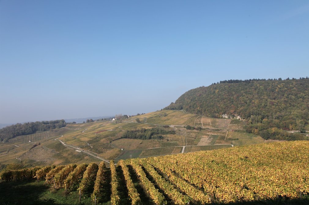 Escapade automnale dans le Jura de Château Chalon aux lacs lactuduvin.wordpress.com/2018/10/22/esc…