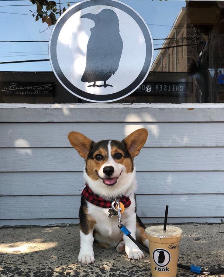 Start your day with a smile. #repost @canteatthiscannoli
