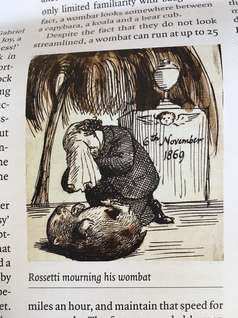 nemoloris's tweet image. In 1869 one of Dante Gabriel Rossetti’s pet wombats ‘successfully interrupted a seemingly uninterruptable monologue by John Ruskin by burrowing its nose between the critic’s waistcoat and jacket.'
