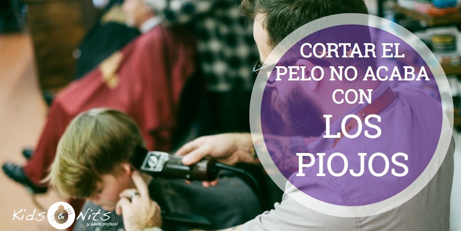 Donde hay pelo, hay alegría. Eso mismo piensan los #piojos. Si cortas el pelo pero sigue habiendo suficiente como para que las liendres se adhieran, NO ACABARAS CON ELLOS. Pide cita y librarte del #contagio. #piojo #liendres #cortarelpelo #raparlacabeza #centroscontrapiojos