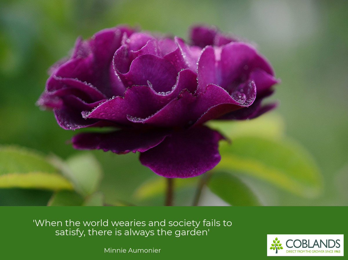 'When the world wearies and society fails to satisfy, there is always the garden' Minnie Aumonier #MondayMotivation