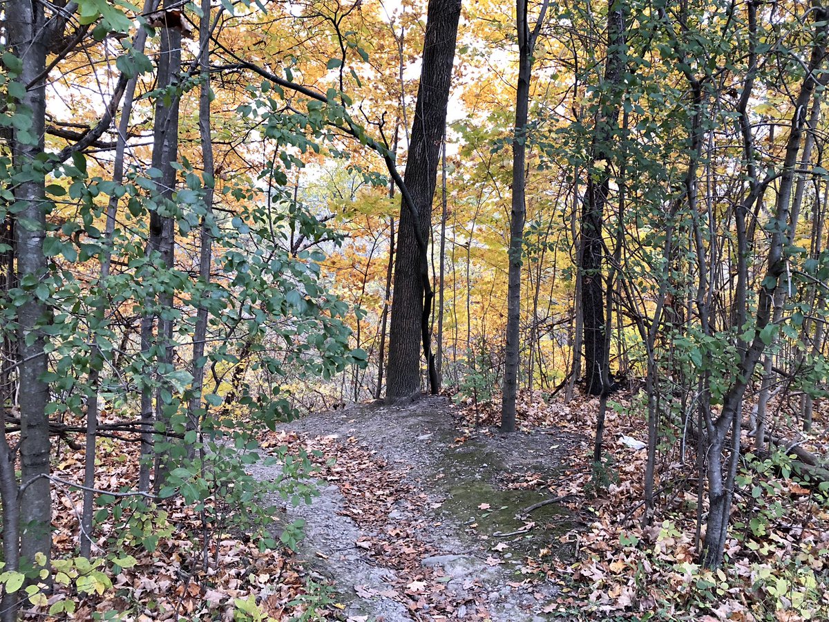 A Sunday afternoon walk along the Credit River, breathed fresh air, saw beautiful colours , listened to the river, prepared me for a great new  week! And so I #smile, 😊, #wellness...wishing all a good week