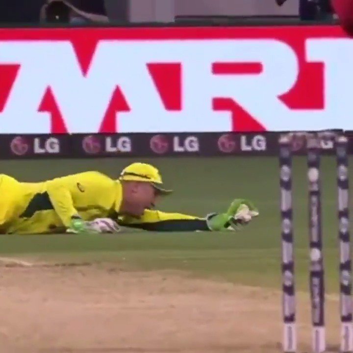 Happy birthday, Brad Haddin! What about this for a catch! 