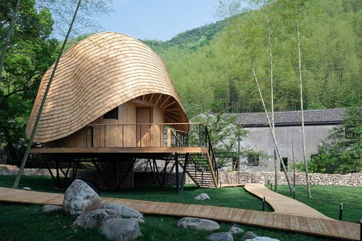 findelbloc's tweet photo. ⭕ ¿Y vivir en una cabaña de #bambu en medio del bosque?

#arquitectura #architecture https://t.co/LWlZLsda3Z