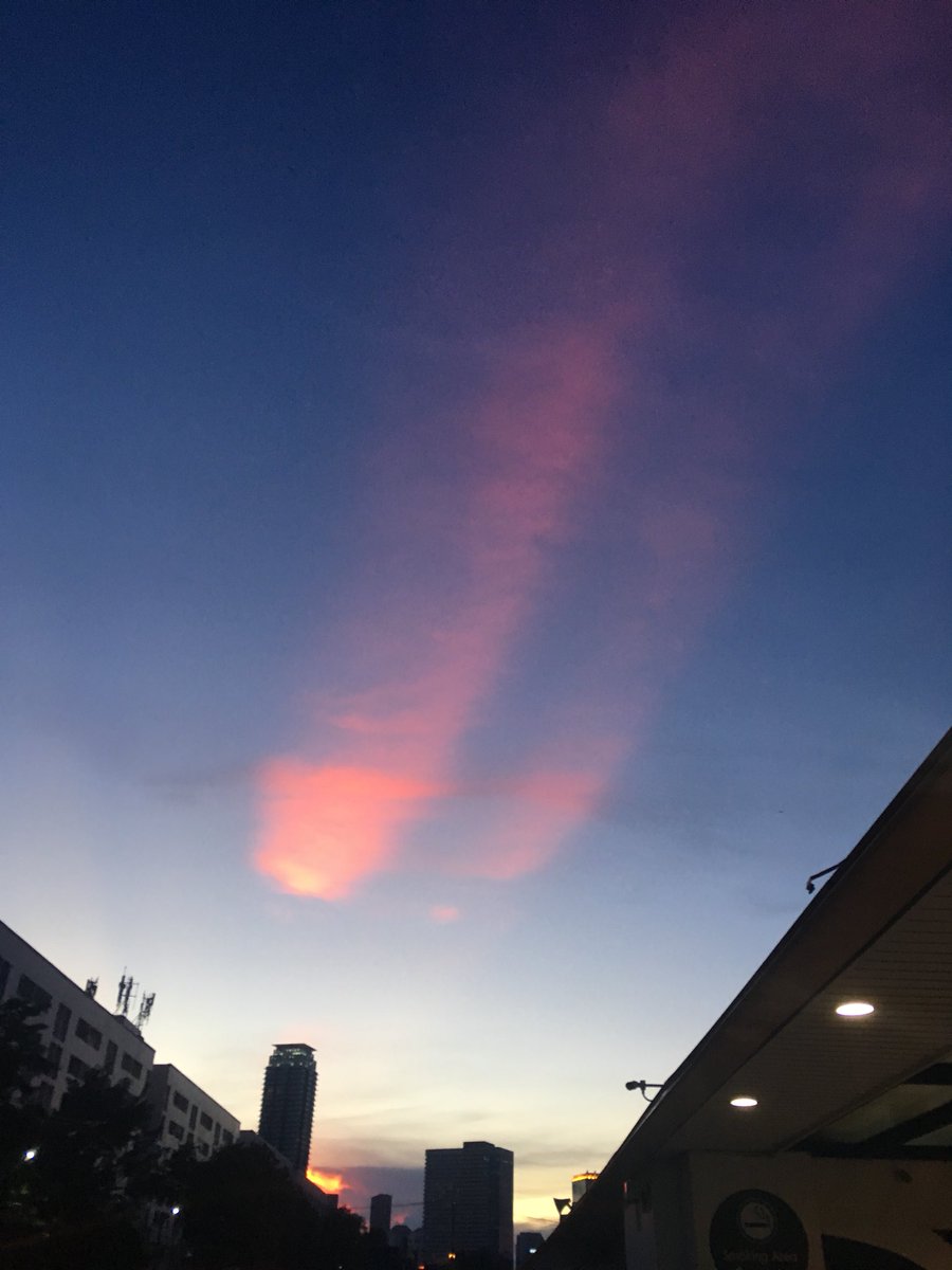 23 ᐧ༚̮ᐧ ☁️𓈒 * ･ tweet media