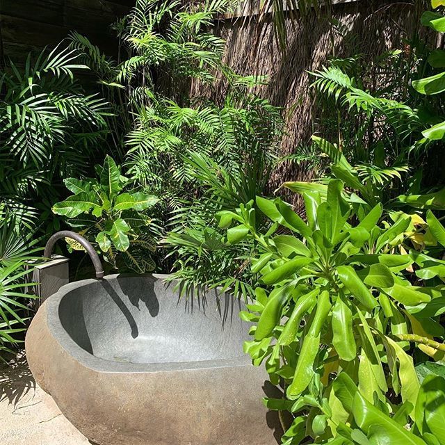 BeTulumHotel's tweet image. Find yourself in the middle of the jungle.🌴🌴⠀
.⠀⠀⠀
#BeTulum #BoutiqueHotel #Be #BeUniverse #BeUnique #Mexico #Tulum @kintaemaree⠀