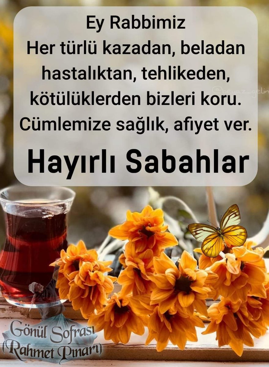 Gülten 44 (@44gulten) on Twitter photo 