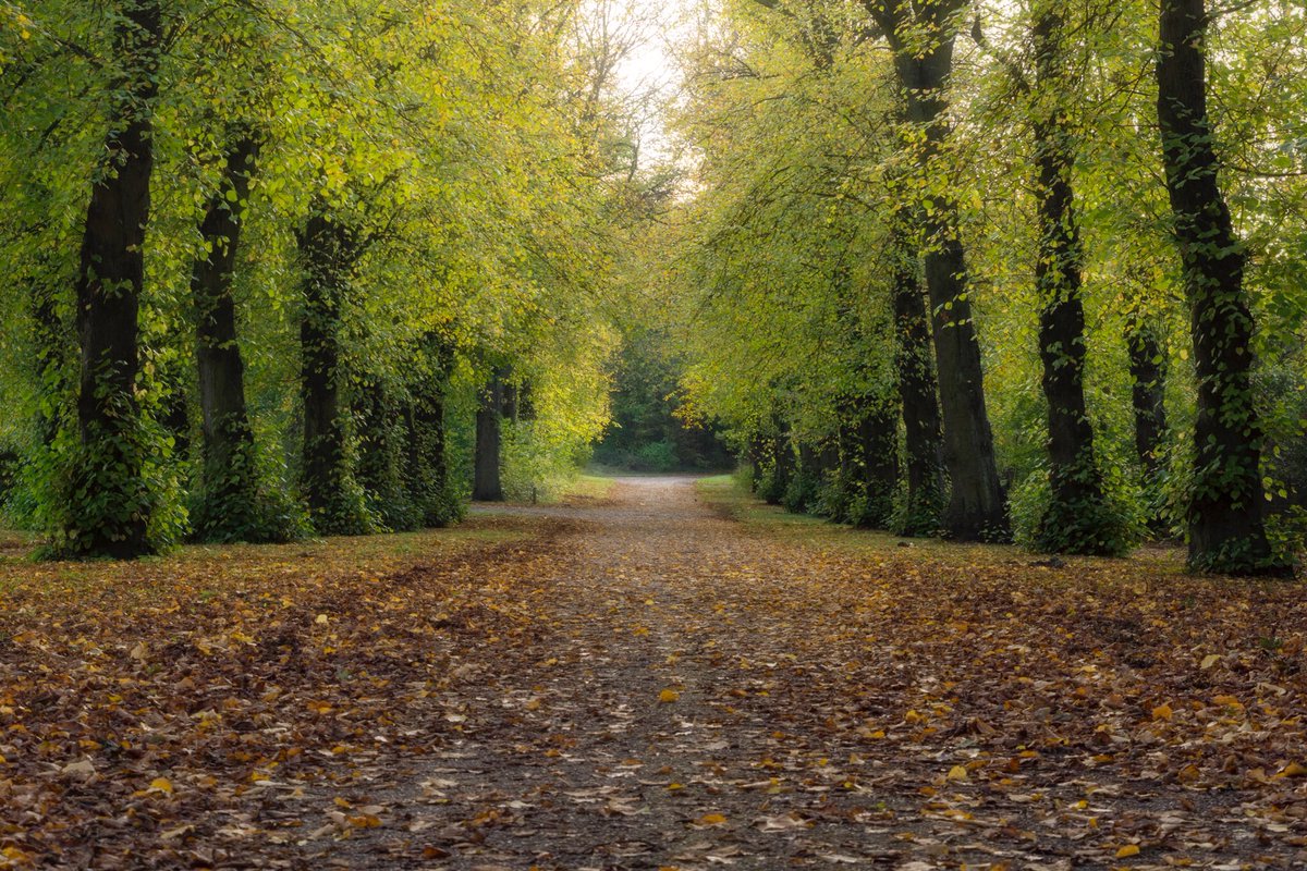 rus04ash's tweet photo. Autumn in the park.              #WexMondays #fsprintmonday #ThePhotoHour https://t.co/vl3GEpiqfU