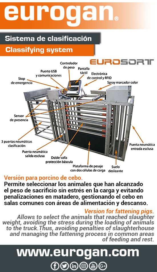 #EUROSORT. Sistema de clasificación / Classifying system
✅ goo.gl/2Jqkue
#ganaderia #livestock #porcino #porcine #granja #farm #cerdo #pig