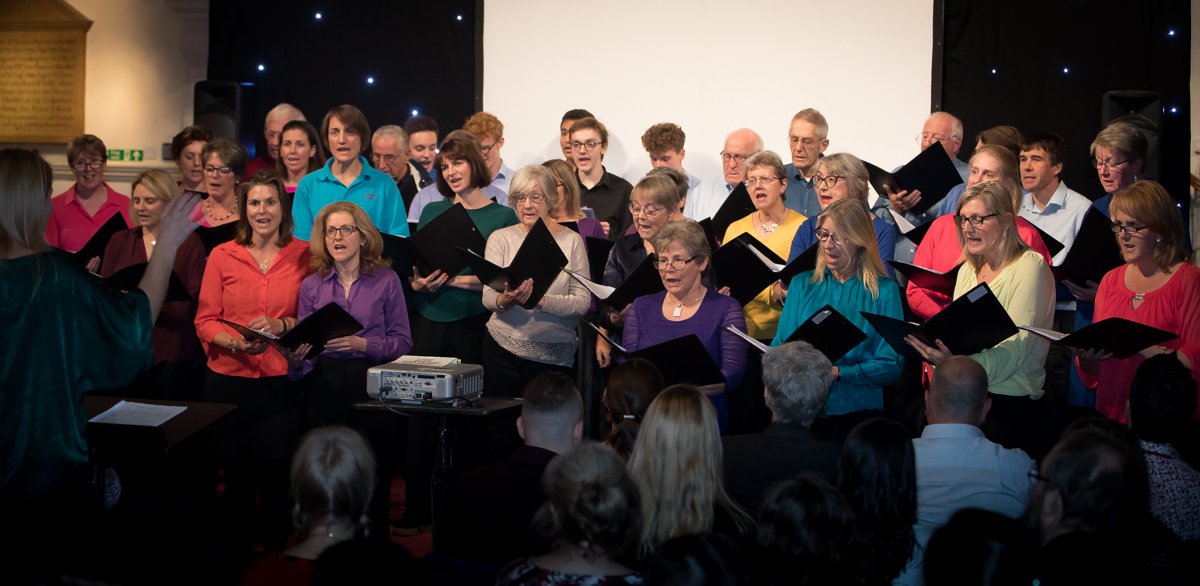 Bedford Chronicles tweet media