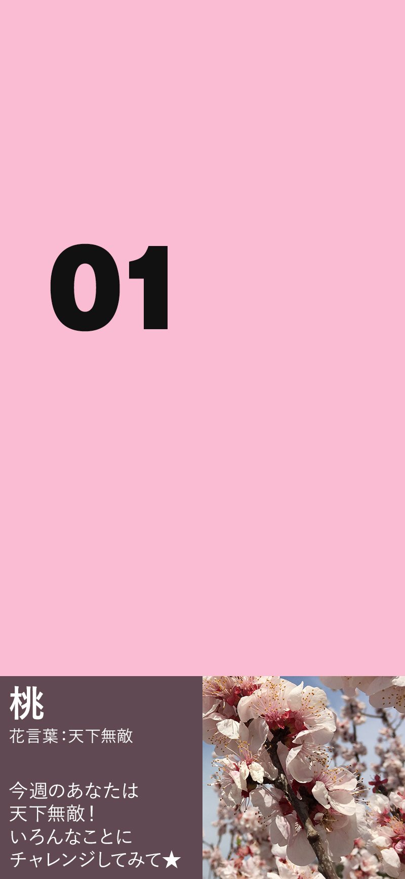 公式 Peach 10周年 今週の カラー占い どの色が好き 直感で選んでみてください 好きな色をクリックすると 下に占い結果が出てきます B Peachといえばピンク ということでピンク系のお花のカラーを集めてみました Fly Peach 花