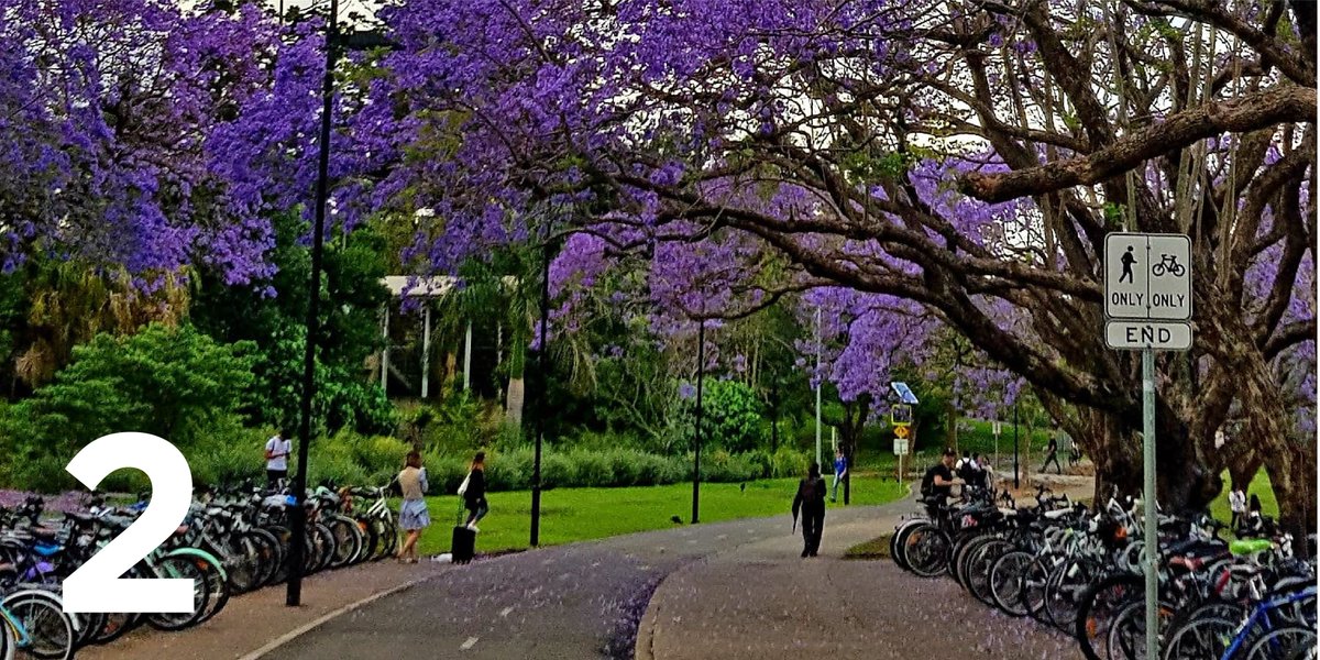 SIMBAatUQ's tweet photo. Just two sleeps until our STEM Postgraduate Careers Evening #opendoorUQ. We look forward to connecting with Amblyoptica and FB RICE during the industry networking session. Registration is limited - grab the last few tickets while you can https://t.co/c7i1VmJIfc #PhDChat @UQ_News https://t.co/aXnqtMPLG0