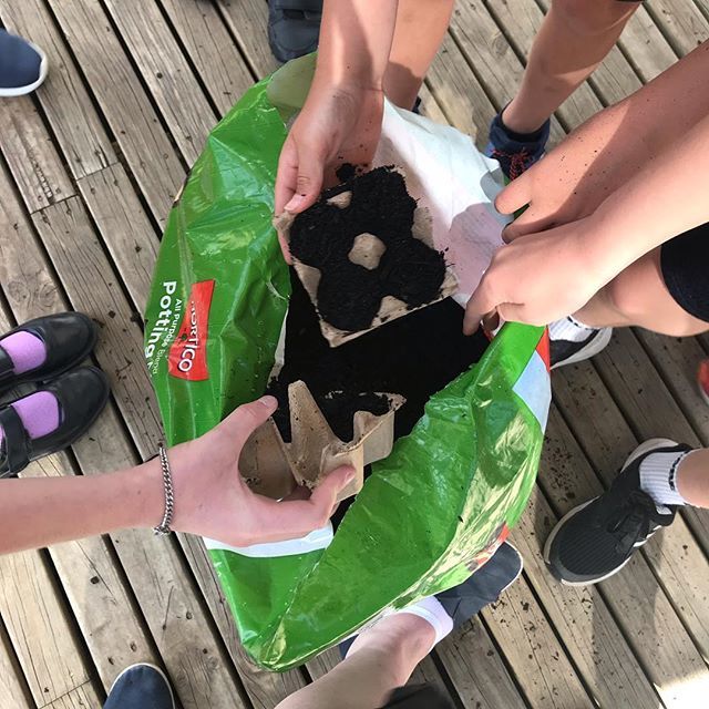 kaitlin_maree_'s tweet photo. Today’s positives:
• getting our hands dirty and learning about sustainability
• positive discussions with leadership
• caramello koala
#positivetracking #bounceback https://t.co/FaOYz0Vj0f https://t.co/YhhBvDgD7c