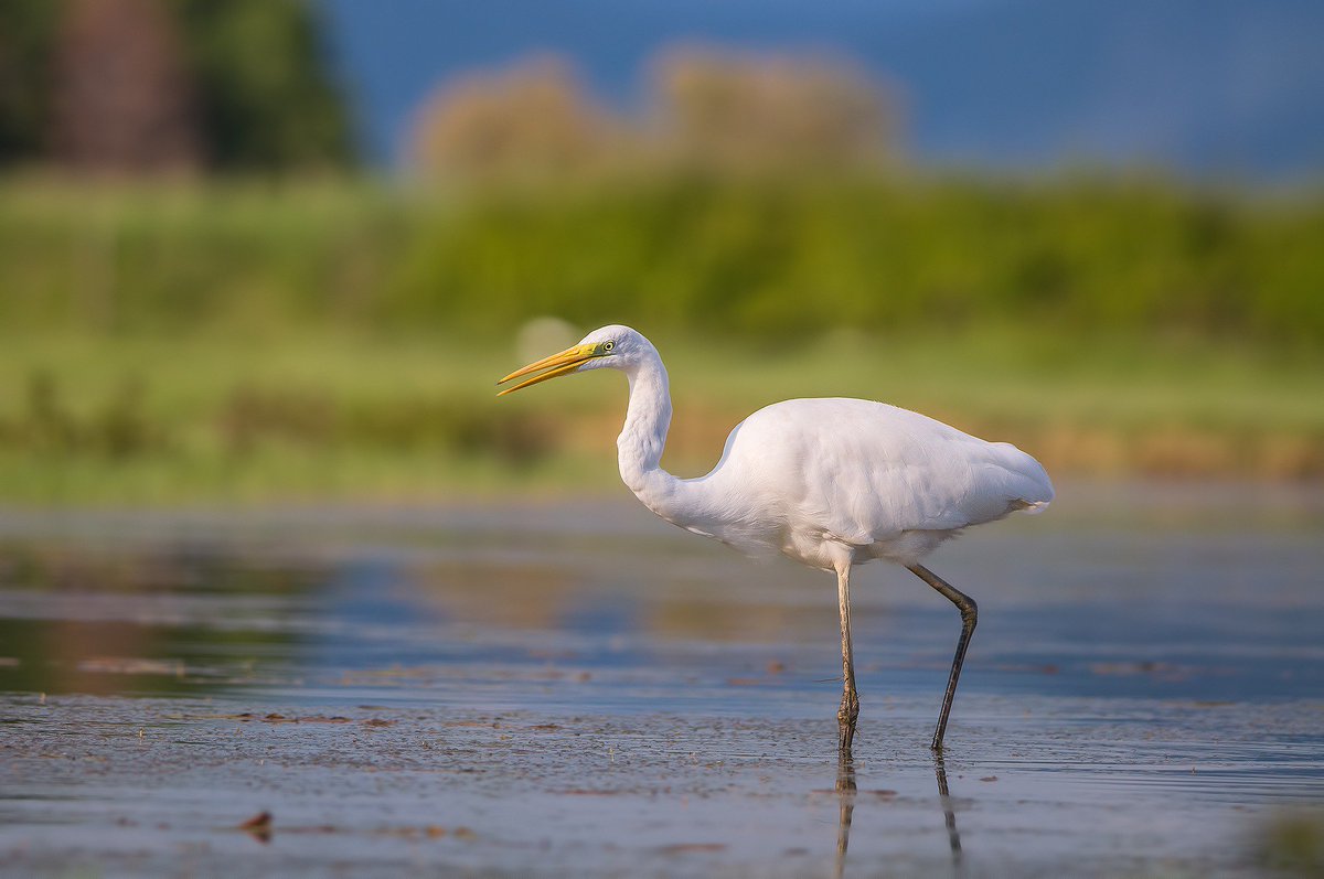 wunderreich natur die schönsten