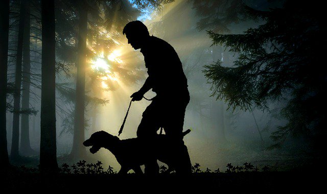 🐕 Si necesitas enseñar a tu perro a que aprenda su nombre ¡no te puedes perder este artículo!
elperrodeagua.com/ensenar-perro-… 
#PDAE #PerroDeAgua #PerroAgua #EducarPerro #Adiestramiento #AdiestramientoCanino