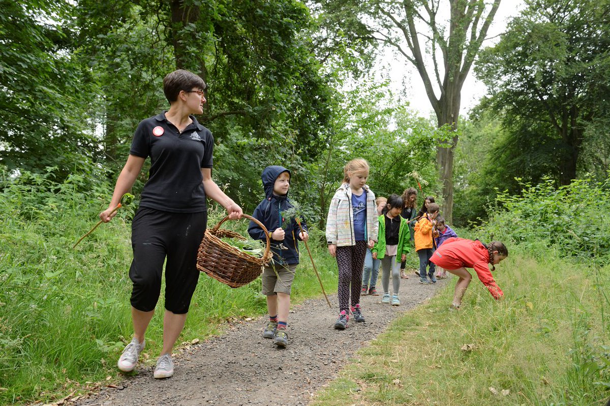 Don’t miss your chance to apply for our #OutdoorLearning in #Nature Fund - we have £200k to fund projects that best meet our priorities to encourage pupils to connect with their local #greenspace. Applications close on 31 Oct: ow.ly/8D7M30mivyl