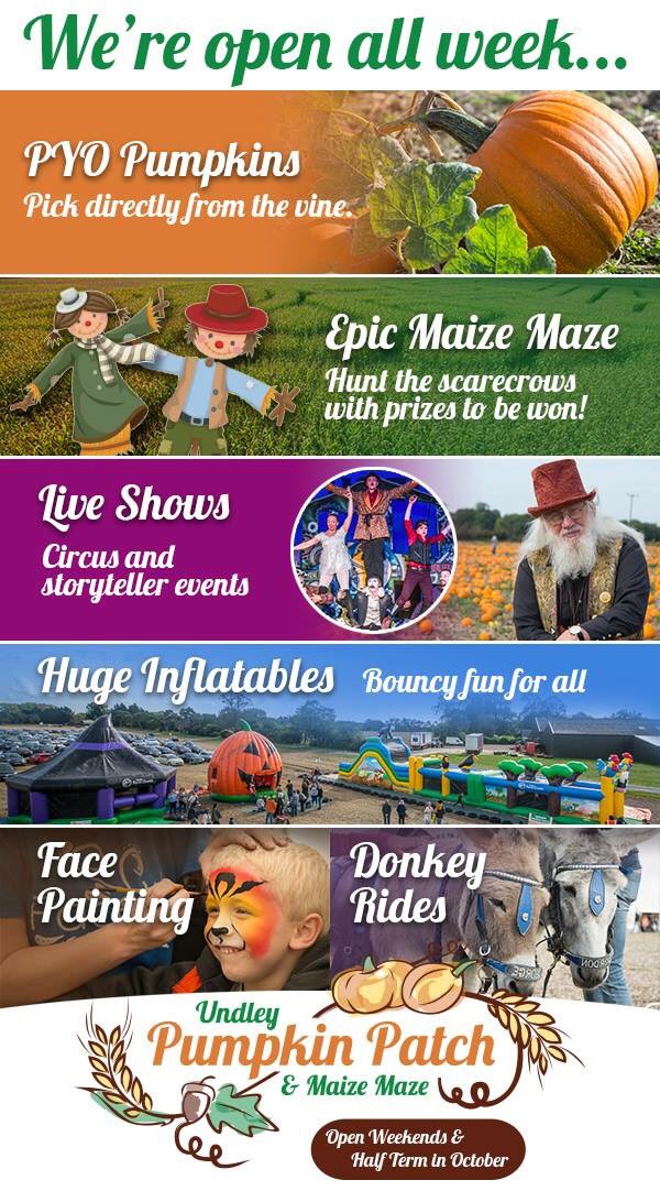 Many thanks to all who visited us over the weekend, we hope you enjoyed your day and found your perfect pumpkins! Don't forget we're also OPEN all of this week for HALF TERM, come and PYO between 10am and 5pm. 🎃🌞