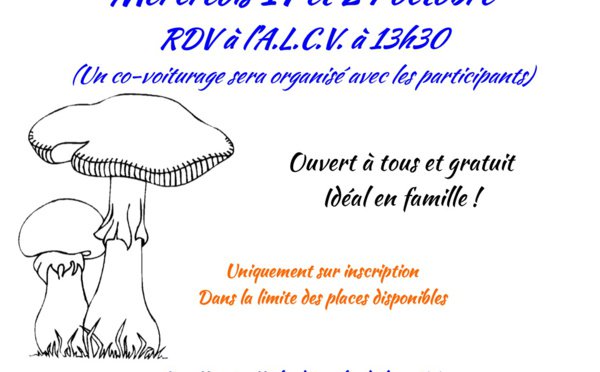 #blois | Sortie découverte champignons Avec Monsieur Maurice MICHAUD, spécialiste des champignons, membre de la société d'histoire naturelle du Loir et Cher et animateur bénévole de l'atelier marche de l'A.L.C.V.&amp;nbsp; Covoiturage jusqu'à la forêt dans... sortiren41.fr/Sortie-decouve…