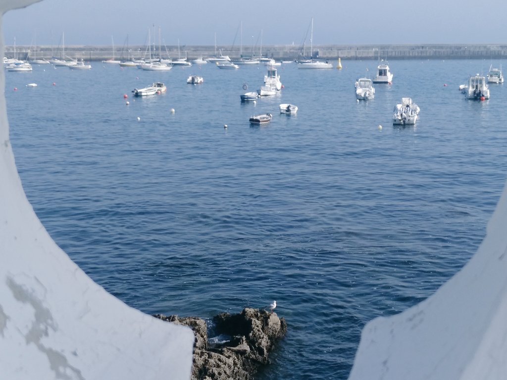 AidaInma's tweet image. #CastroUrdiales #MatematicasRRSS