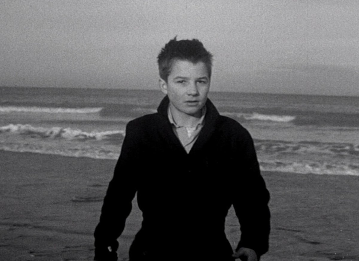 Youfeelm tweet media