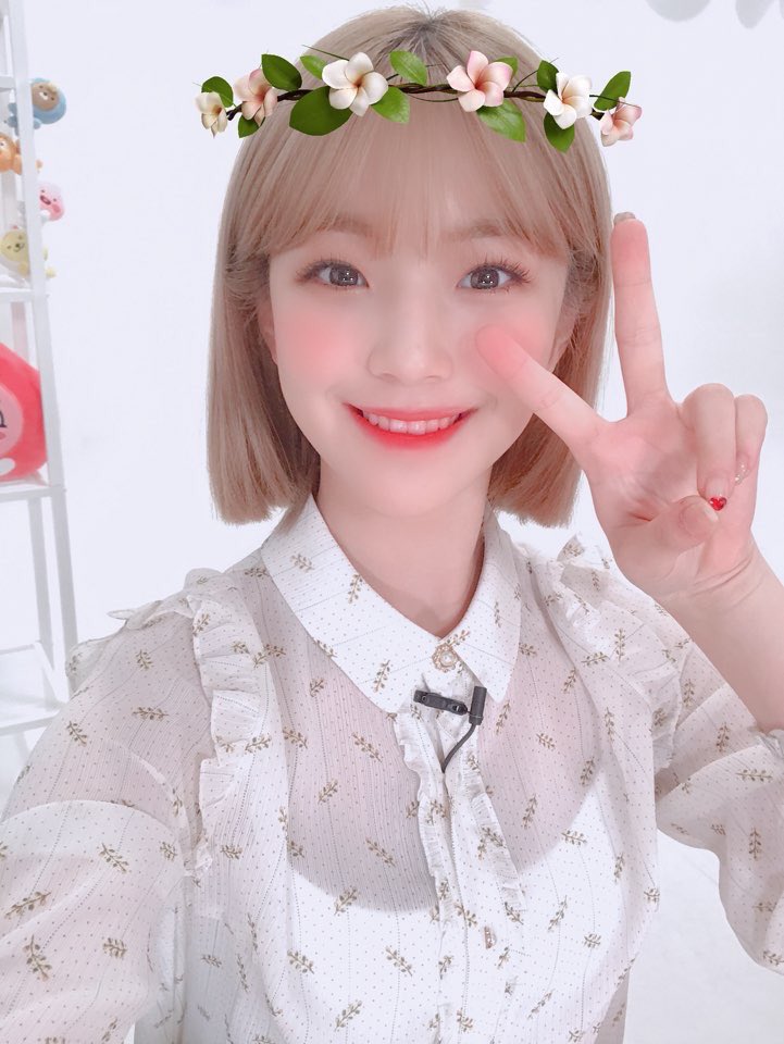 baek jiheon pics tweet media