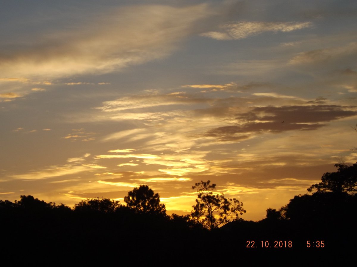 1954Nelson's tweet photo. @bibianadihl @noelescur @marinapagno @jocimarfarina @GauchaZH ; Gravataí com um amanhecer de ceu limpo e 16 graus https://t.co/5vJLfwoDW3