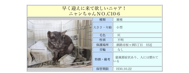 北海道 保健所 里親募集 釧路 Amp 標茶保健所さん 白ワン以外期限切れです 以前は普通のコメントにある意味ハイレベルな写真で有名だった釧路エリア 今はコメント 写真に職員さんの必死さが伝わります この子達の 家族になる夢 が叶いますよう拡散