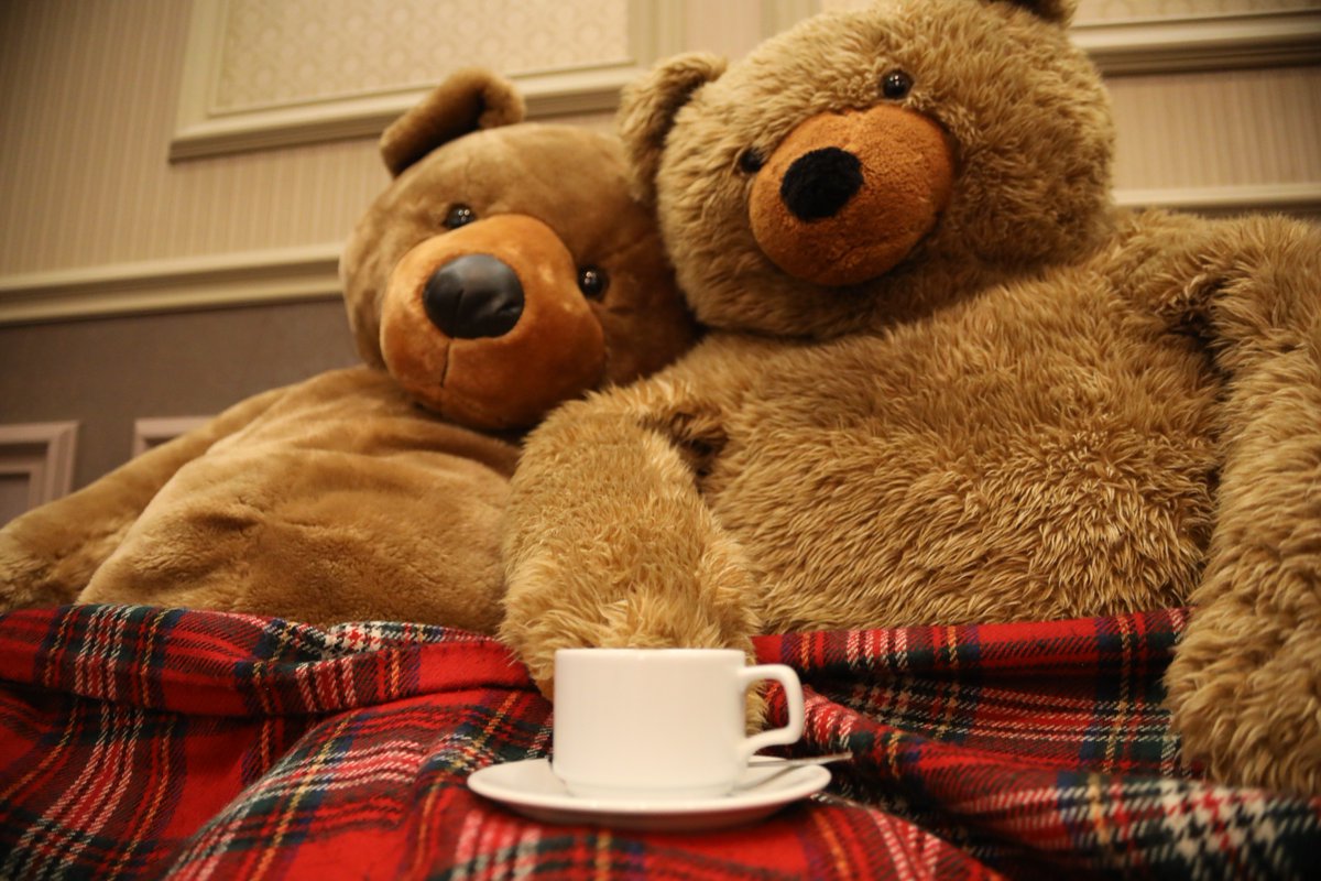 The_PropFactory's tweet photo. Our super cute giant bears cosy @TheDukePlymouth
We have both available to hire for your party or event....or teddy bears picnic?! #giantteddy #teddybear #prophire #eventprops #funprops https://t.co/BDU33N78F5