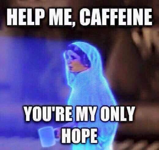 rstenbuck's tweet photo. #morningaftertheshow #allthecaffine #operaproblems https://t.co/56UQ2705Ru