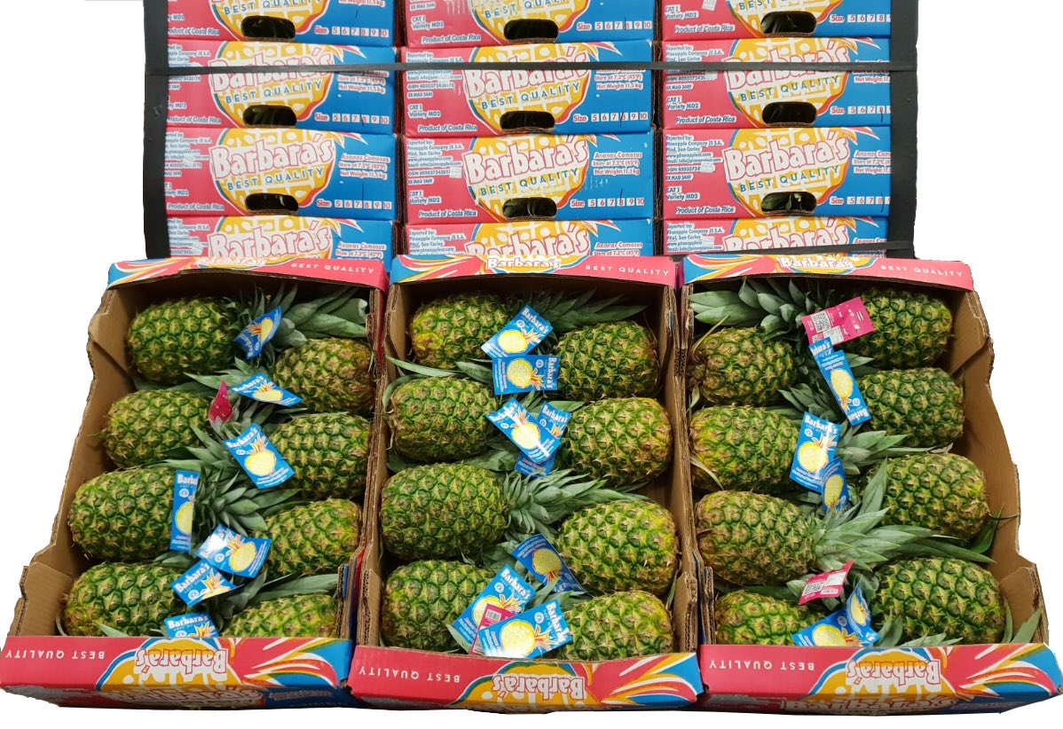 Global Fresh Trade tweet media