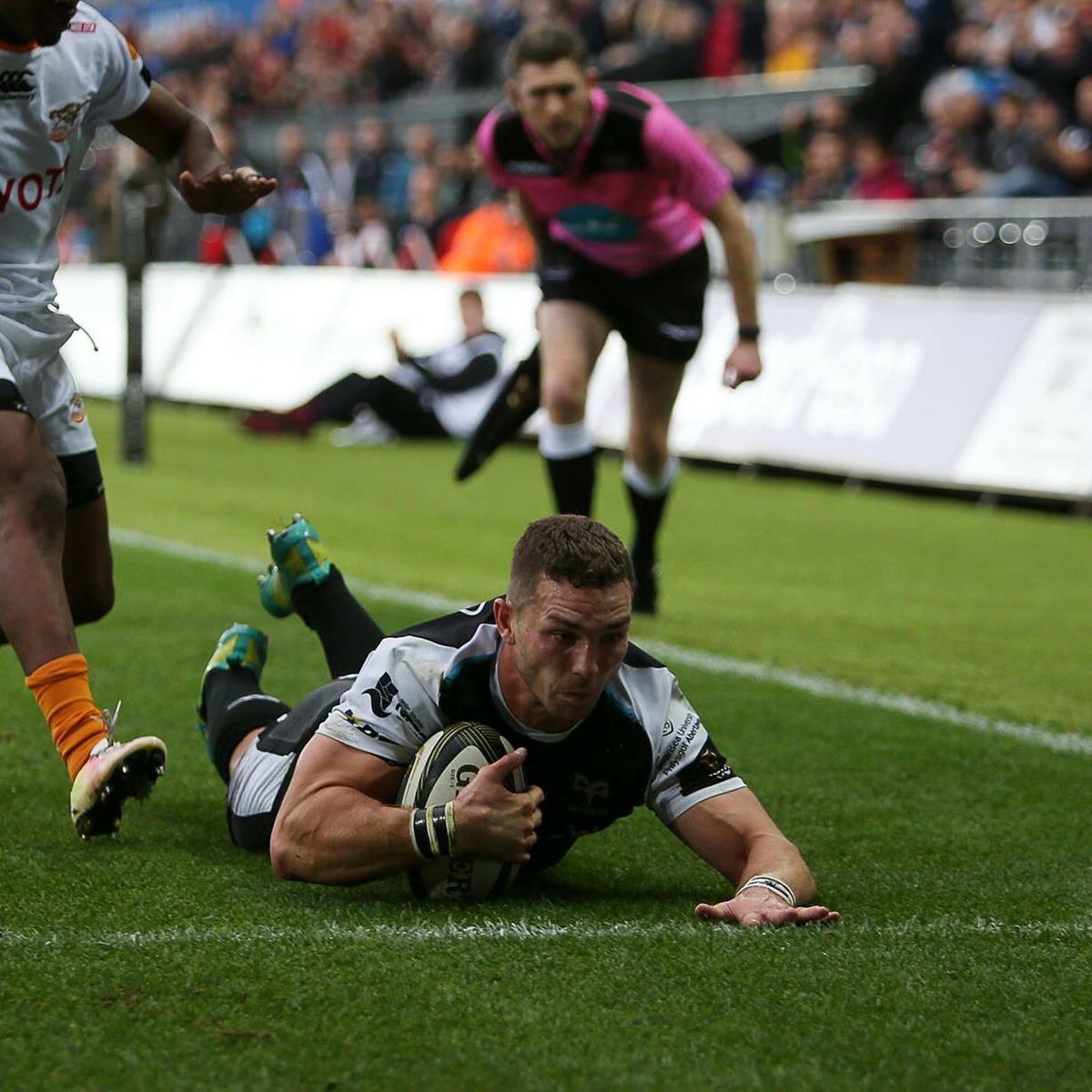 Ospreys Retail tweet media