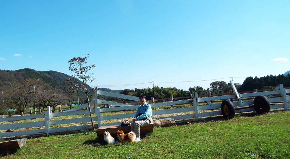 Fp犬 レゴ ベル A Twitter レゴ ベル お天気が良かったので 牧場と公園に連れて行ってもらったワン ベル お馬さんも牛さんもとっても大きかったワン ヤギさんと挨拶できたよ レゴ ヤギさん 僕にも顔を近づけてくれたワン ポメラニアン 服部牧場 Fp犬 レゴ ベル A Twitter レゴ ベル お天気が良かったので 牧場と公園に連れて行ってもらったワン ベル お馬さんも牛さんもとっても大きかったワン ヤギさんと挨拶できたよ レゴ ヤギさん 僕にも顔を近づけてくれたワン ポメラニアン 服部牧場