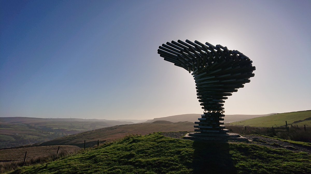 smanderson1977's tweet image. #singingringingtree