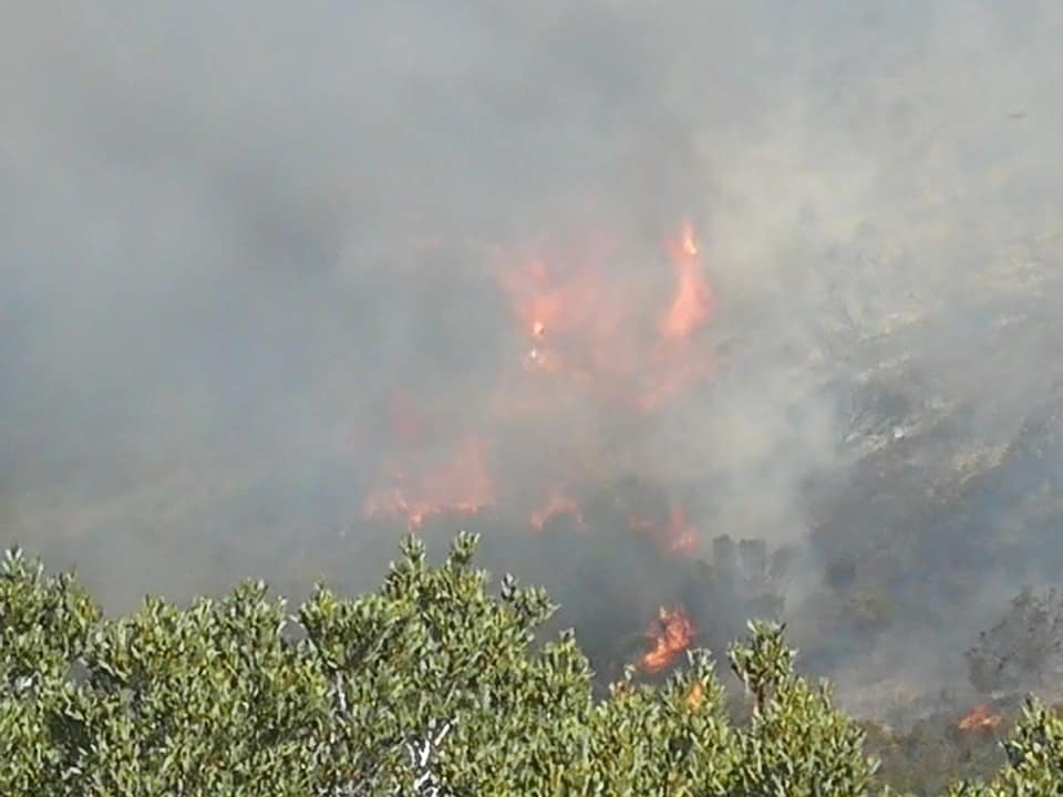 WOF-Kishugu JV tweet media