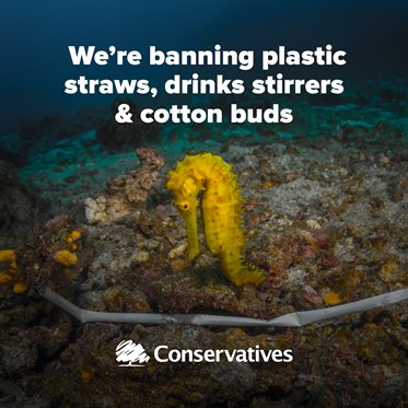 Green Winchester tweet media