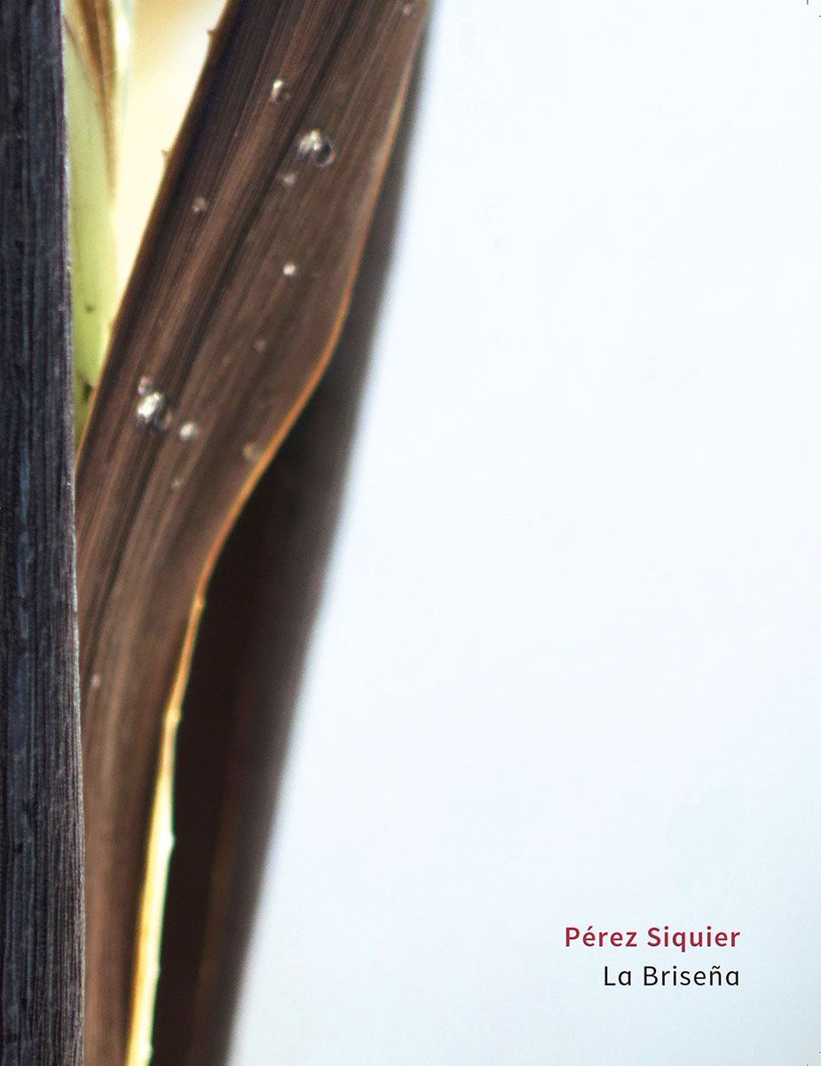 Continua el sorteo de TRES FOTOLIBROS de nuestros autores y va subiendo la participación: muy contentos!
La Briseña, de @PérezSiquier editado @sonambulosed es uno de los fotolibros que os podéis llevar.
Bases en el facebook.com/GranadaEclipsa