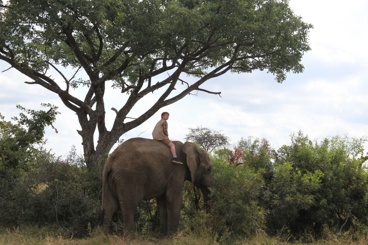 One more day fans, and we're there.  Available everywhere tomorrow, Oct 23rd.