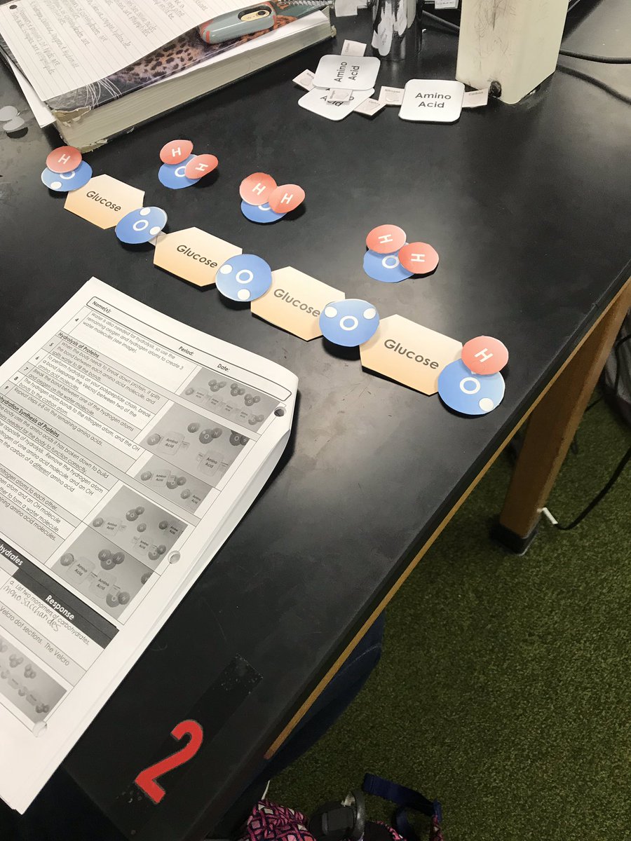 MPSinst_coach's tweet photo. Mrs. Franklin’s college biology class is busy dehydrating lipids! So neat to listen to them discussing how to hydrate and dehydrate different lipids. Wow!! @JacobSirna @OwlsMh @dgillaspie73 #owlpride #collegebio #franklinisthenextfrizzle https://t.co/UjgelRLBgr