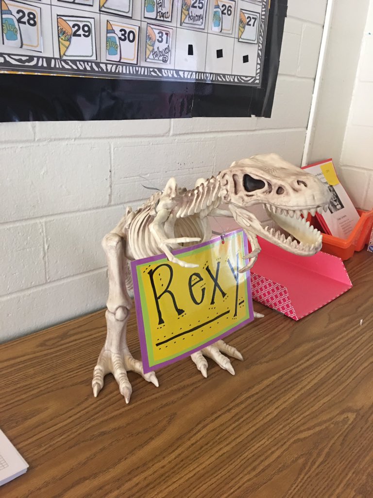 Ms. Jackie Davidson tweet media