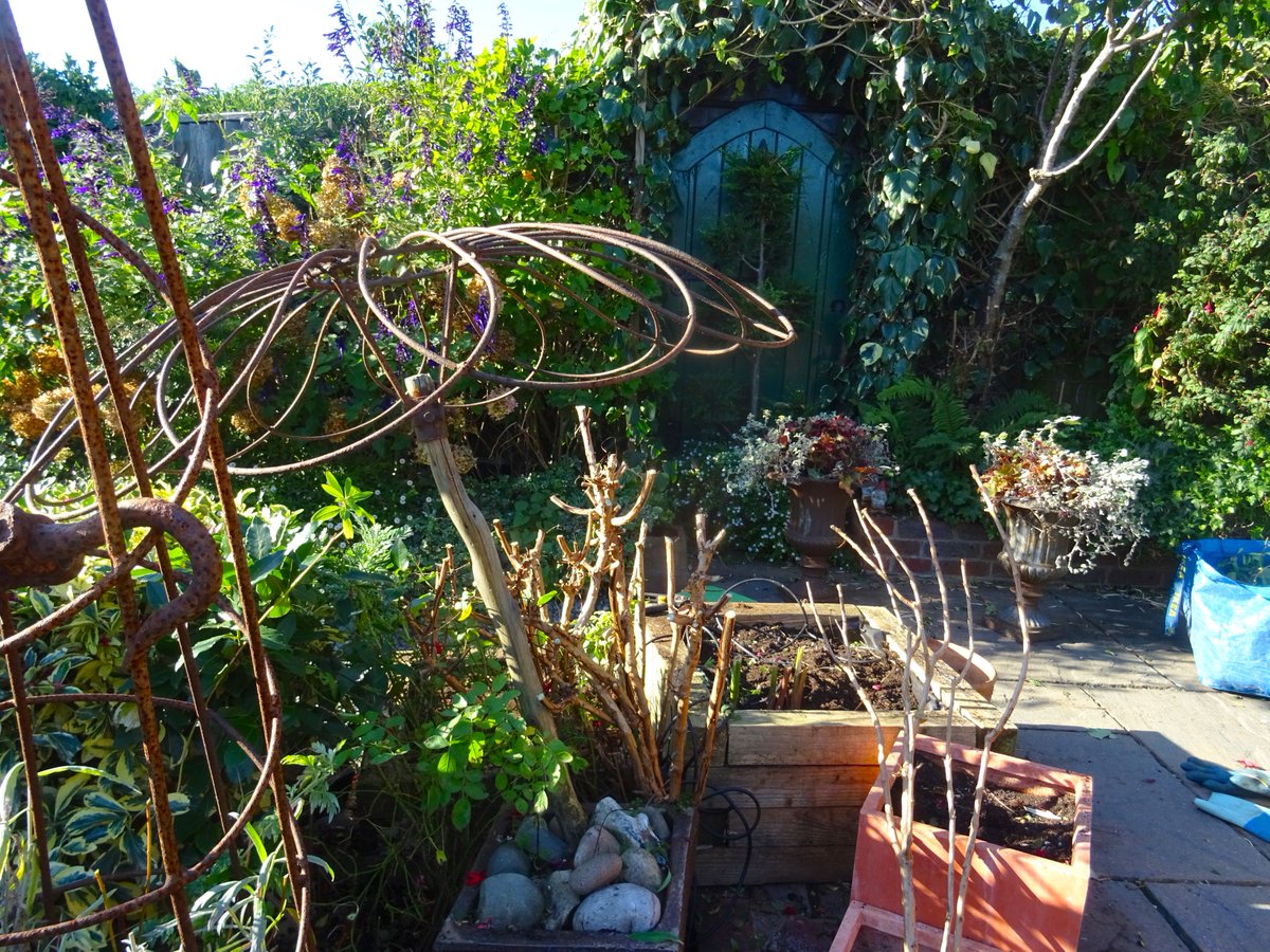 Going..... Going...... Gone....... driftwoodbysea.co.uk #sussex #gardening