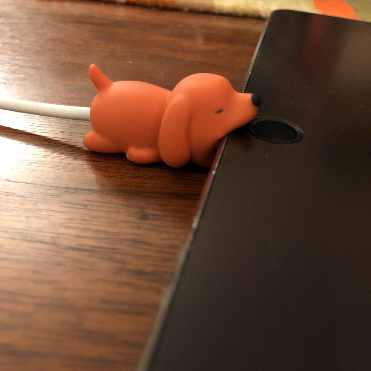 ChargerAnimals's tweet photo. this is the cutest thing ever 😍💕
https://t.co/Y9ngHLArD3 https://t.co/aiufH3Lhzh