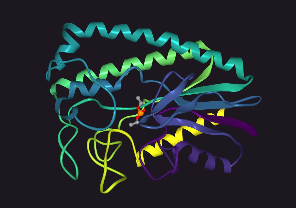 1ESE: THE MOLECULAR MECHANISM OF ENANTIORECOGNITION BY ESTERASES rcsb.org/pdb/explore.do…