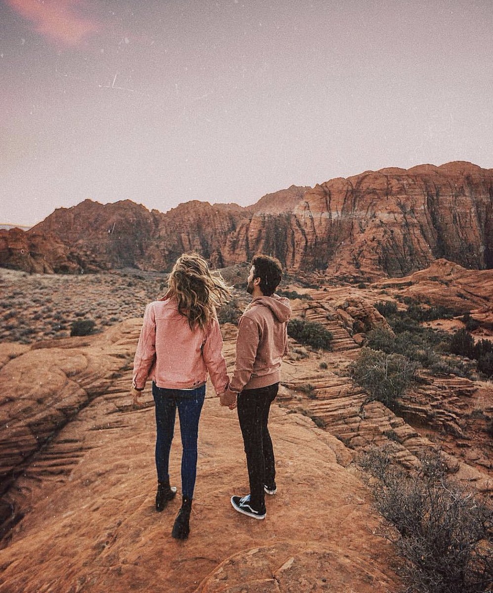 American Nomad tweet media