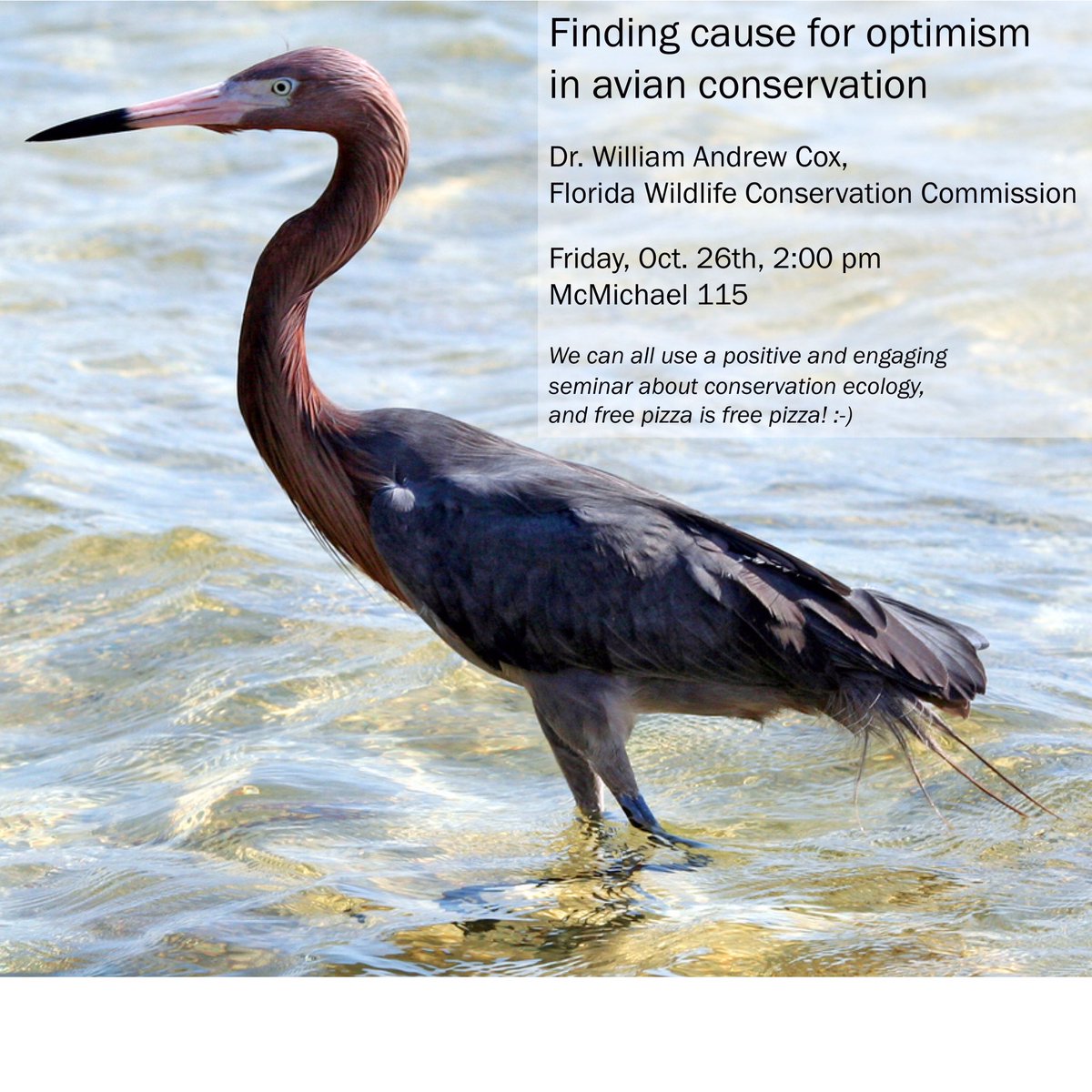 Elon Biology (@elonbiology) on Twitter photo Fri Oct 26 - bird conservation talk! Dr William Cox of Fla Wildlife Conservation <a href="/ElonENS/">Elon ENS Department</a> <a href="/ElonBiologyClub/">Elon Biology Club</a> Fri Oct 26 - bird conservation talk! Dr William Cox of Fla Wildlife Conservation <a href="/ElonENS/">Elon ENS Department</a> <a href="/ElonBiologyClub/">Elon Biology Club</a>