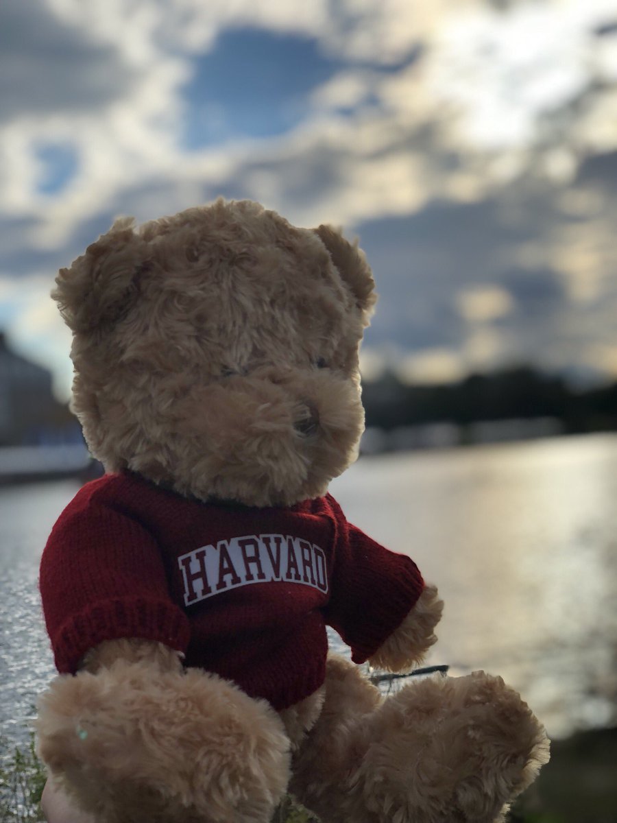 🌿It’s a pretty swell backyard🌿

🚣‍♀️An incredible weekend of watching #HarvardCrew at the #HeadOfTheCharlesRegatta 🚣🏼‍♀️

🎭 Now it’s time to head back into the theater and get to work 🎭