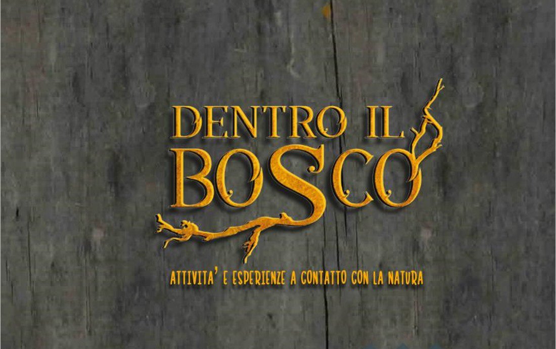 italiadidattica's tweet photo. Diamo il BENVENUTO su https://t.co/QnIb94uxoc
alle esperienze DENTRO IL BOSCO - #TOSCANA
https://t.co/VifM6y6jbE

#ItaliaDidattica #Bosco #Scuola #Scuole #Didattica #Istruzione #GitaScolastica #GiteScolastiche #Studenti #Insegnati #Educatori #Genitori https://t.co/bkugNMykwi