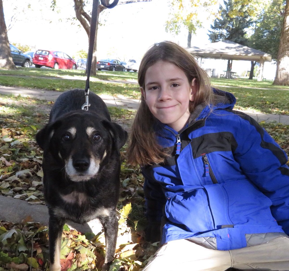 my dog ate a bag of hershey kisses