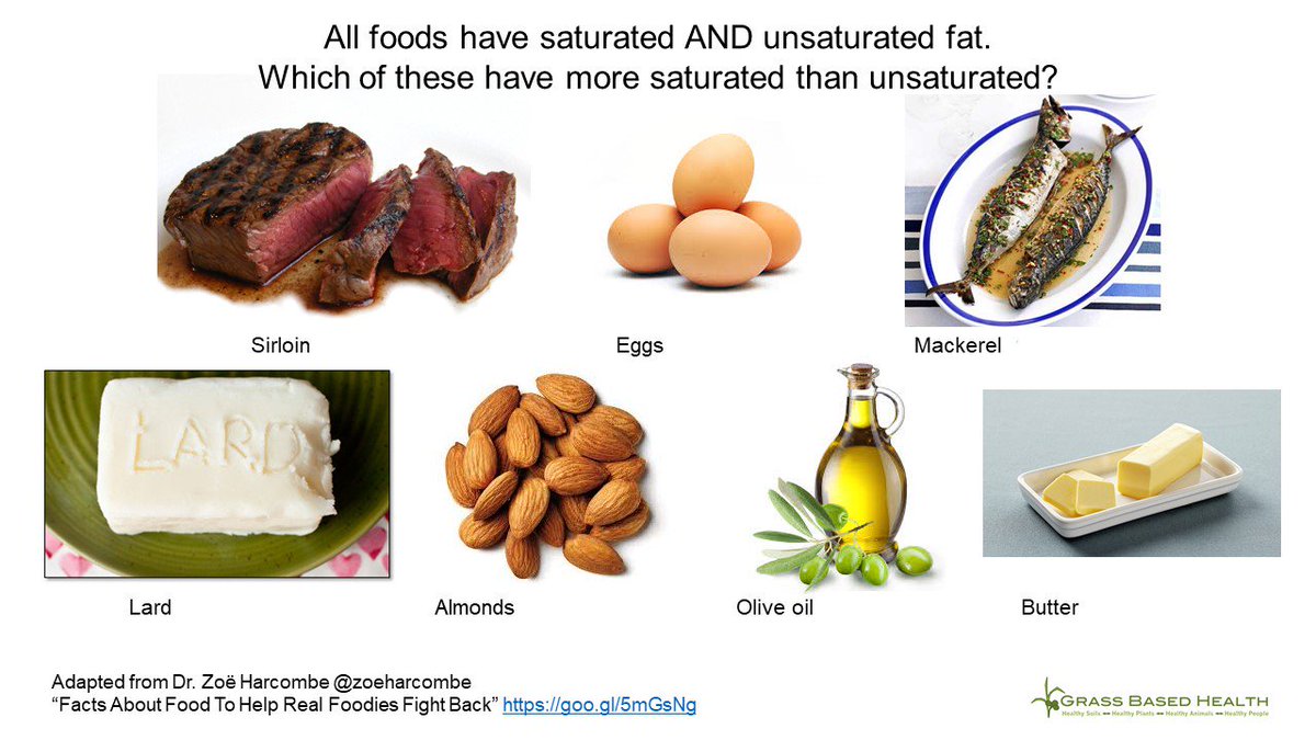 What Are Foods That Contain Saturated Fats What Are Foods That Contain Saturated Fats